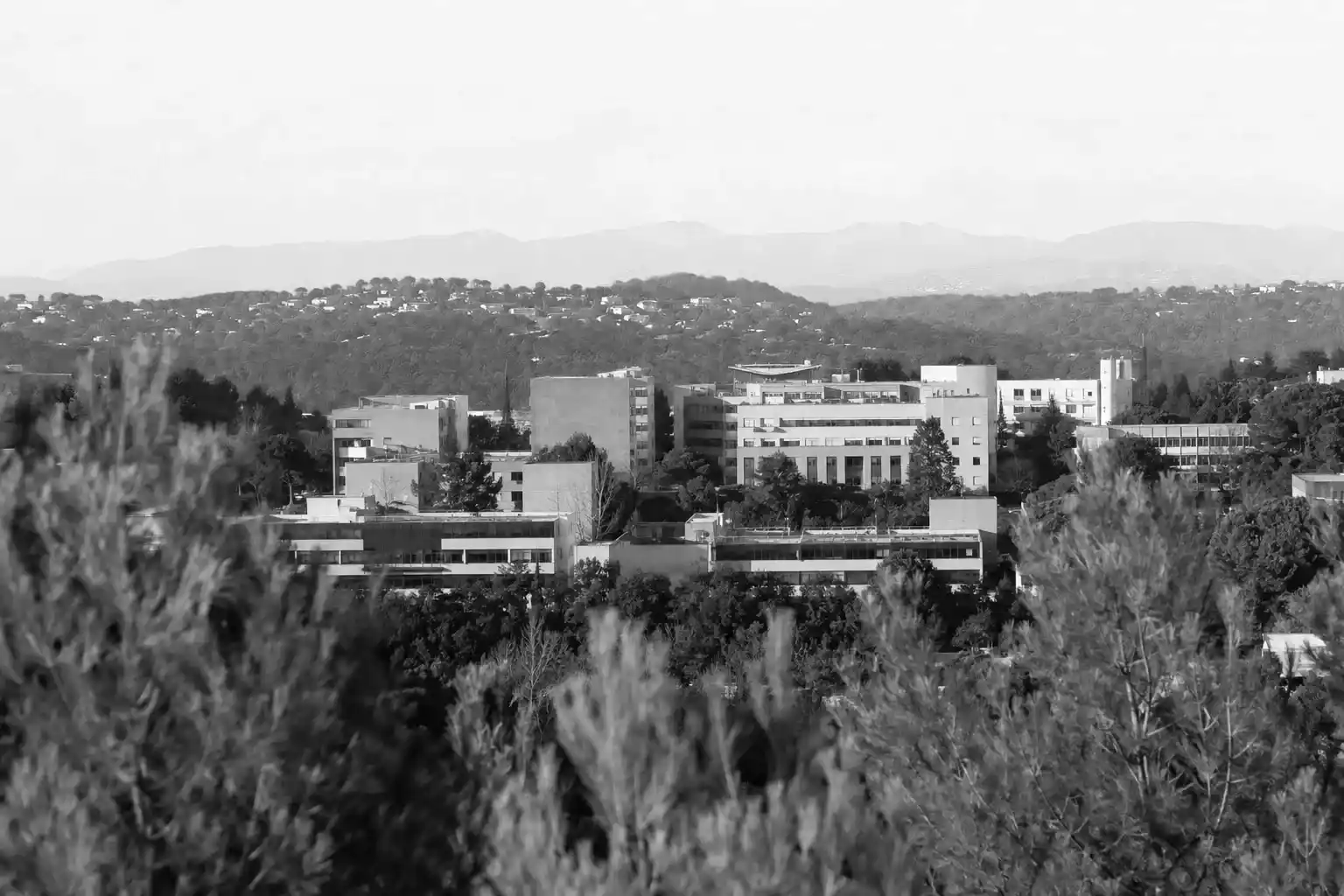 Vue de Sophia Antipolis